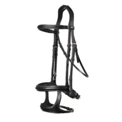 TRUST Bridle Paris Double