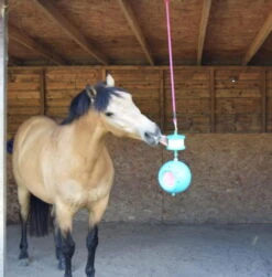 Likit Boredom Breaker -Equestrian Supplie Shop Prince Boredom Breaker 1280x1280