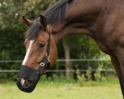 Grazing Muzzle With Nostrils 12 Grazing Muzzle With Nostrils -Equestrian Supplie Shop QHP Fressbremse 5153 schwarz 2 1280x1280