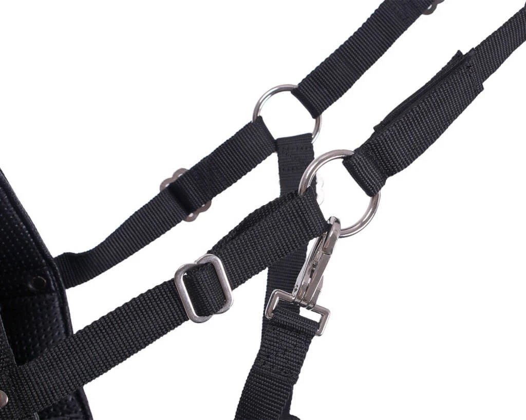 Grazing Muzzle With Nostrils 5 Grazing Muzzle With Nostrils - Image 3