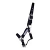 Safety Halter, Padded -Equestrian Supplie Shop QHP Sicherheitshalfter 1135 schwarz 1 1280x1280