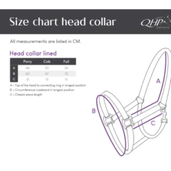 Safety Halter, Padded -Equestrian Supplie Shop QHP Sicherheitshalfter 1135 schwarz 1280x1280