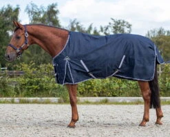 Outdoor RugTurnout Luxury, Rain Rug, 100 G -Equestrian Supplie Shop QHP outdoordecke turnout luxus navy 1ky8oFTH1B5lUt 1280x1280