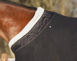 Transport Blanket Menton, Show Blanket -Equestrian Supplie Shop QHP Showdecke Menton schwarz 2 processed 1280x1280