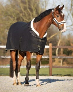 Transport Blanket Menton, Show Blanket -Equestrian Supplie Shop QHP Showdecke Menton schwarz 4 processed 1280x1280