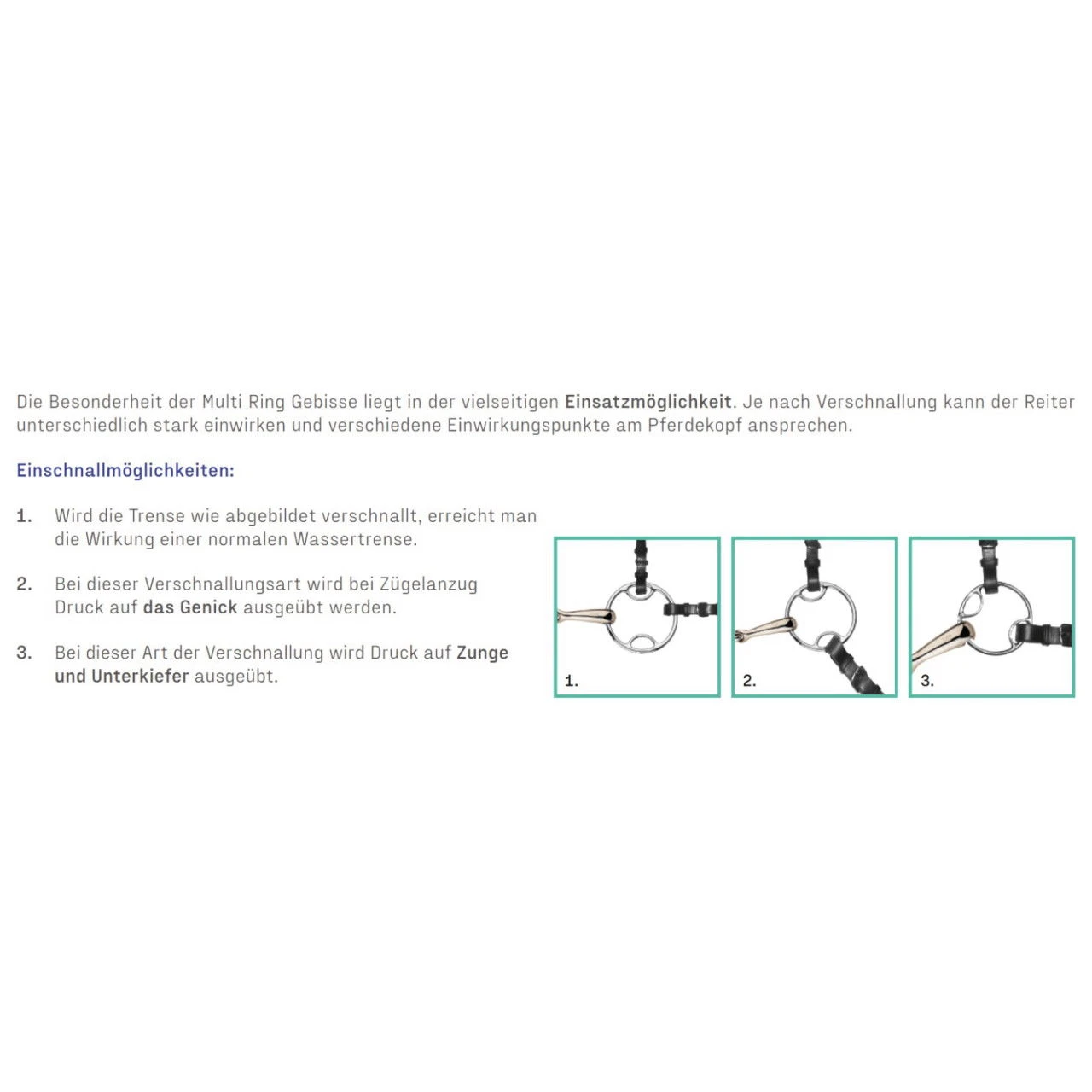 Multi Ring, SATINOX, Single Broken 4 Multi Ring, SATINOX, Single Broken - Image 2