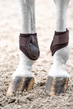 Schockemöhle Fetlock Boots Air Flow Champion -Equestrian Supplie Shop Schockem hle Streichkappen Air Flow Champion 1280x1280