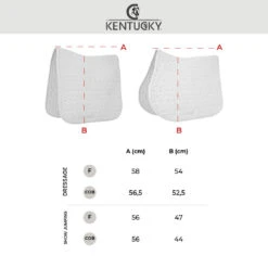 Kentucky Horsewear Dressage Saddle Pad Pearls -Equestrian Supplie Shop Size Chart Saddle Pads Website 2022 processedHV0yNXZNKbC9c 1280x1280