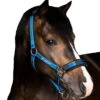 Halter, Stable Halter, Nylon Halter, Reflective -Equestrian Supplie Shop Stubben Stallhalfter mit reflektierenden Naehten 1280x1280