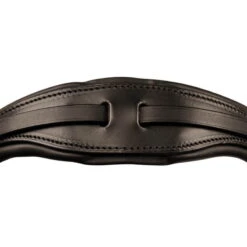 Double Bridle-Bridle-Combination Switch Magic Tack, English Combined, With Slide&Lock -Equestrian Supplie Shop Switch Genickstuck schwarz processedMOMRBA0dV8xM6 1280x1280