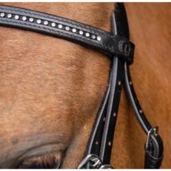 Bridle IRHStormy, Shetty Bridle, Snaffle Bridle -Equestrian Supplie Shop TE40123001 Shetty Trense IRHStormy black crystal3 processed 1280x1280