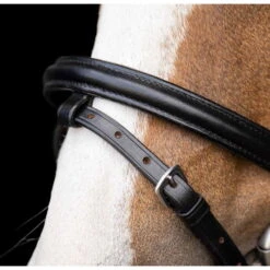 Bridle IRHStormy, Shetty Bridle, Snaffle Bridle -Equestrian Supplie Shop TE40123001 Shetty Trense IRHStormy black crystal4 processed 1280x1280