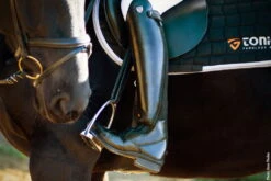 Riding Boot Jupiter, Women, Men, Black 10 Riding Boot Jupiter, Women, Men, Black -Equestrian Supplie Shop Tonics Reitstiefel black 2 1280x1280