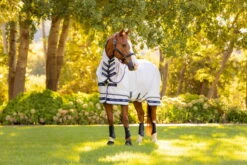 Lemieux Armour-Tek Fly Rug, With Neck Piece 14 Lemieux Armour-Tek Fly Rug, With Neck Piece -Equestrian Supplie Shop TracyRobertson FlyRugs 006 processed 1280x1280