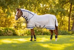 Lemieux Armour-Tek Fly Rug, With Neck Piece 15 Lemieux Armour-Tek Fly Rug, With Neck Piece -Equestrian Supplie Shop TracyRobertson FlyRugs 007 processed 1280x1280