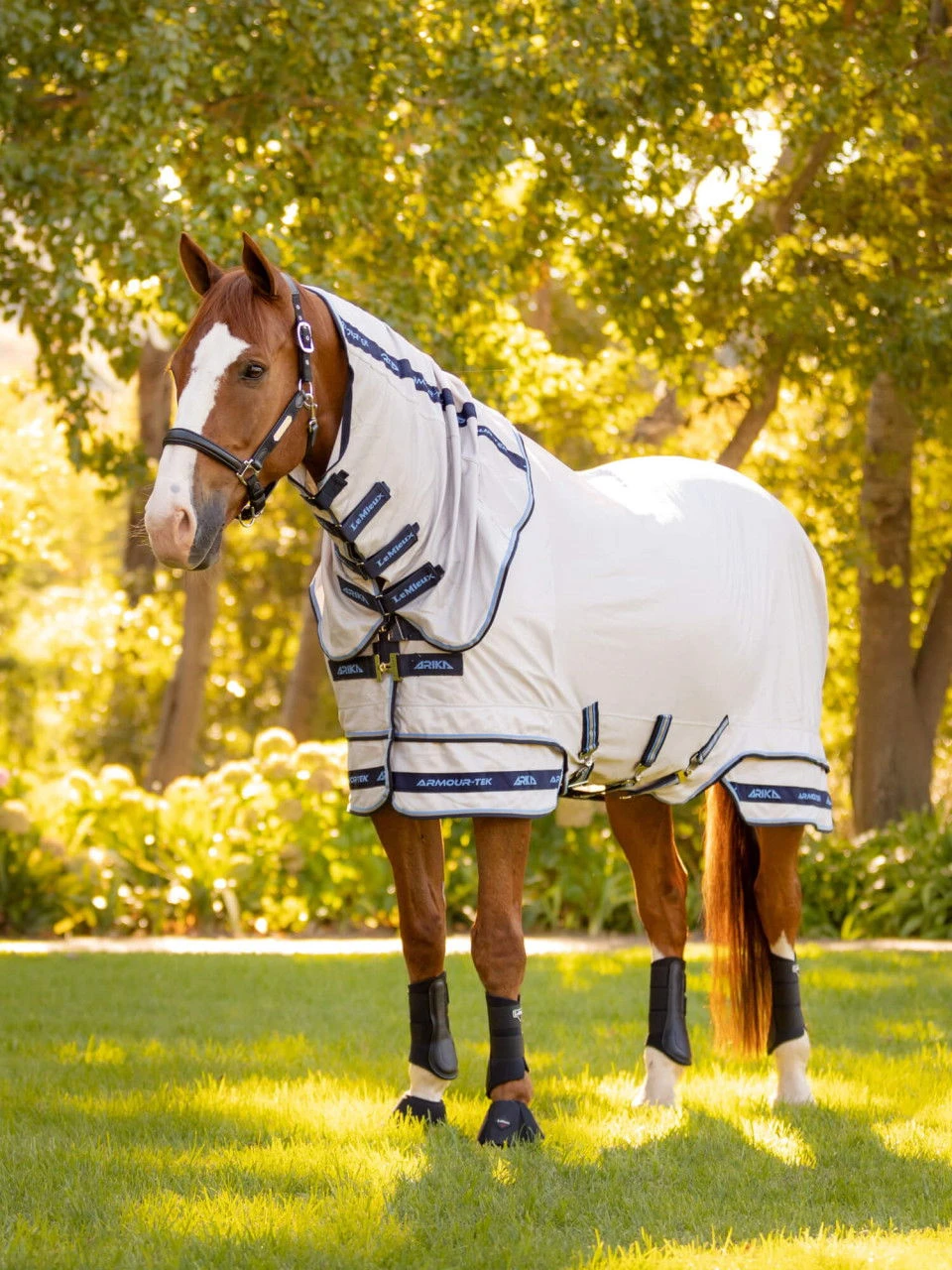 Lemieux Armour-Tek Fly Rug, With Neck Piece 9 Lemieux Armour-Tek Fly Rug, With Neck Piece - Image 7