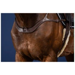 Anatomical Breastplate US Collection -Equestrian Supplie Shop US06BBR 2 processed 1 1280x1280