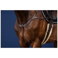 Anatomical Breastplate US Collection -Equestrian Supplie Shop US06BBR processed 1 1280x1280