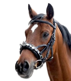 Waldhausen Cavesson, Leather, Including Bit Strap