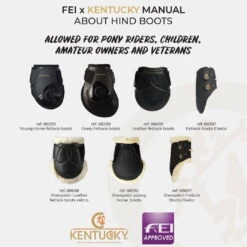 Kentucky Horsewear Kentucky Back Boots Armadillo Tendon Sheepskin -Equestrian Supplie Shop abot hind boots Amateur children pony 1280x1280 1