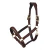 Lemieux Halter Anatomic Leather Headcollar -Equestrian Supplie Shop anatomic leather headcollar brown 1280x1280