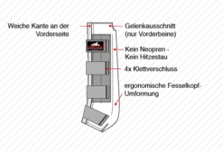 Stable Leggings Classic -Equestrian Supplie Shop bersciht classic 1280x1280