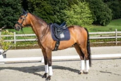 Dressage Saddle Pad HLA Classic -Equestrian Supplie Shop dyon dressurschabracke hla classic lifestyle 1280x1280
