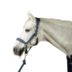 Headcollar Nubuck NEC