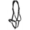 Leather Transport And Stable Headcollar WC 2 Leather Transport And Stable Headcollar WC -Equestrian Supplie Shop dyon lederhalfter wc schwarz 1280x1280