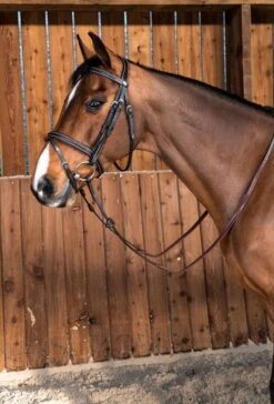 Noseband Bridle Classic Flash WC -Equestrian Supplie Shop dyon trense classic flash 1280x1280