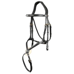 Grackle Bridle DC