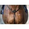 3-Point Breastplate With Bridge NEC -Equestrian Supplie Shop dyon vorderzeug bruecke nec schwarz 1 1280x1280