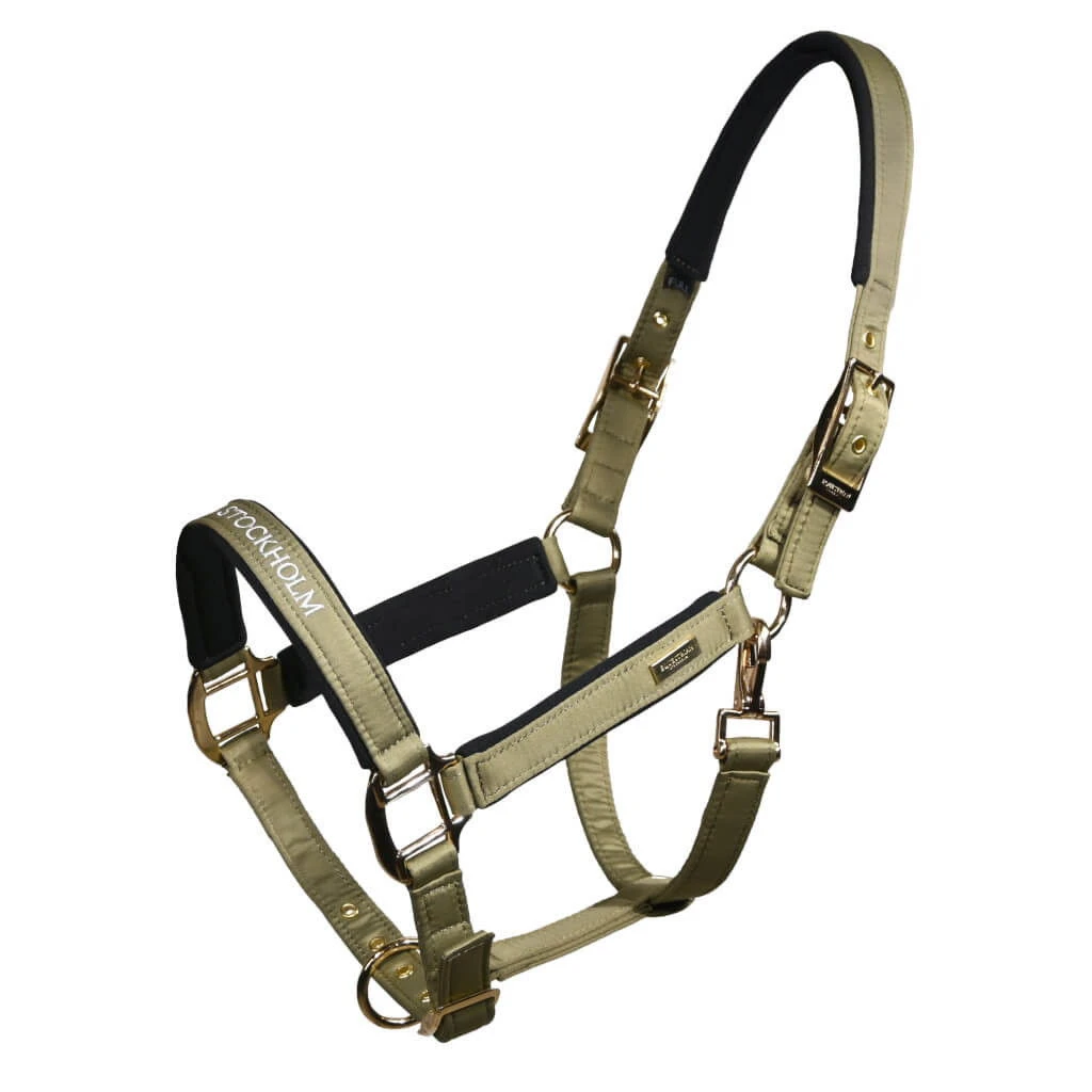 Halter Sportive Chantelle, With Lead Rope 3 Halter Sportive Chantelle, With Lead Rope