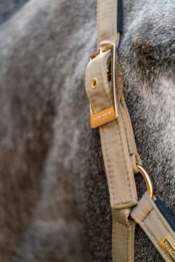 Halter Sportive Chantelle, With Lead Rope 10 Halter Sportive Chantelle, With Lead Rope -Equestrian Supplie Shop equestrian stockholm halfter chantelle lifestyle 1280x1280