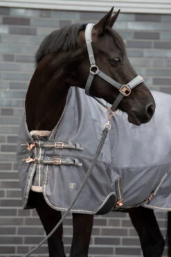 Outdoor Rug Beta 1680 Heritage 23/24, FauxFur Lining -Equestrian Supplie Shop esk 0223 kam 152056 323 250 410456 815 250 1 1280x1280