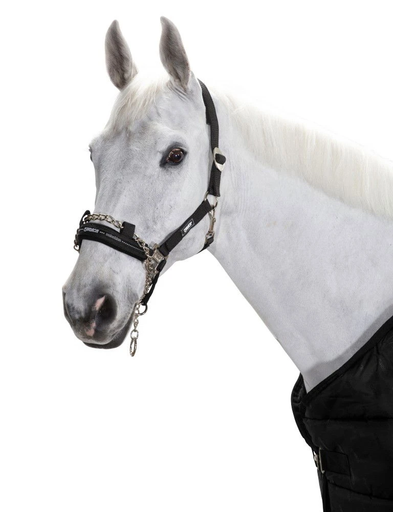 Headcollar Control Sliding Buckle 3 Headcollar Control Sliding Buckle