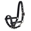 Headcollar Basics, Foal Halter, Nylon Halter -Equestrian Supplie Shop eskadron fohlenhalfter basics black 1280x1280