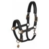 Halter Double Pin Faux Leather Platinum 2023 -Equestrian Supplie Shop eskadron halfter double pin faux leather platinum black 1280x1280