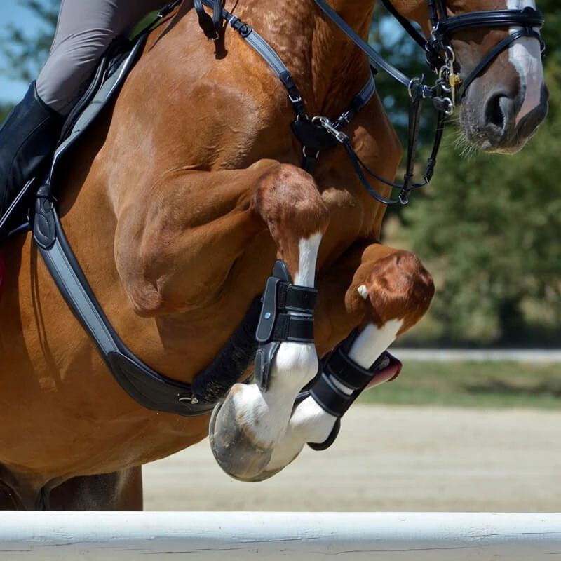 Leather Saddle Girth Soft Decor 5 Leather Saddle Girth Soft Decor - Image 3