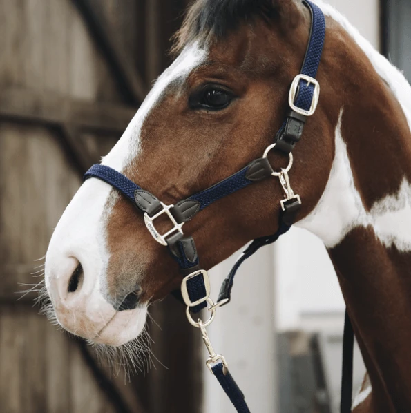 Kentucky Horsewear Kentucky Dogwear Braided Nylon Leash Plaited 6 Kentucky Horsewear Kentucky Dogwear Braided Nylon Leash Plaited - Image 4