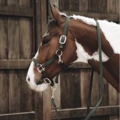 Kentucky Horsewear Kentucky Dogwear Braided Nylon Leash Plaited 7 Kentucky Horsewear Kentucky Dogwear Braided Nylon Leash Plaited -Equestrian Supplie Shop kentucky horsewear strick plaited nylon green 2 1280x1280
