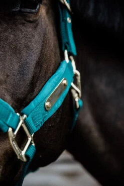 Kentucky Horsewear Halter Velvet 8 Kentucky Horsewear Halter Velvet -Equestrian Supplie Shop kentucky halfter velvet smaragd 3 1280x1280