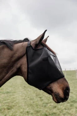 Kentucky Horsewear Fly Mask Classic Without Ears -Equestrian Supplie Shop kentucky horsewear fliegenmaske classic lifestyle 1 1280x1280
