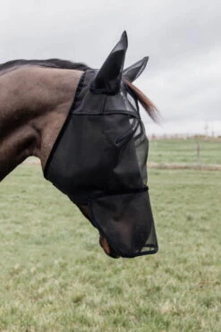 Kentucky Horsewear Fly Mask Classic With Ears And Nose -Equestrian Supplie Shop kentucky horsewear fliegenmaske classic ohren nase lifestyle 1 1280x1280