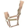 Kentucky Horsewear Headcollar Teddy Fleece -Equestrian Supplie Shop kentucky horsewear halfter teddyfleece beige 1280x1280