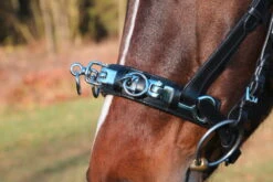 Covalliero Cavesson Leather Exclusive -Equestrian Supplie Shop kerbl kappzaum leder exklusiv 4ET1mqQpgYDwlk 1280x1280