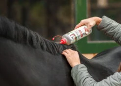 Mane Care Mane Liquid 5 Mane Care Mane Liquid -Equestrian Supplie Shop leovet mahnenpflege mahnenliquid 1 1280x1280