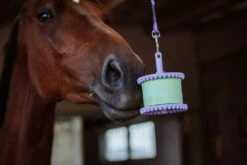 Likit Holder -Equestrian Supplie Shop likit halterung gruen 1 1280x1280