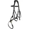 Lemieux Bridle Kudos Grackle, Mexican