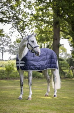 Lemieux Under Rug Arika Liner, 200 G -Equestrian Supplie Shop lm liner1 lr processed 1280x1280 1